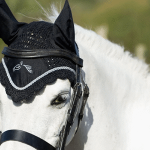 Black Full-Sized USG Horseback Riding Bonnet Fly Veil