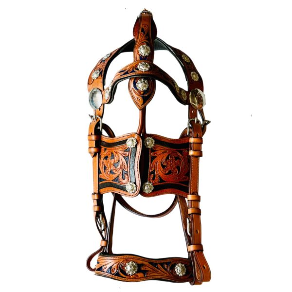 Stylish 3 tone Leather Driving harness for single horse -Natural/Royal blue/Brn