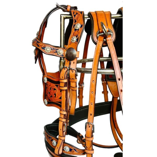 Stylish 3 tone Leather Driving harness for single horse -Natural/Royal blue/Brn