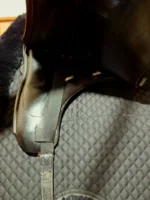 Used 17" Regal Dressage Saddle - Image 5