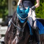 Summer Sapphire Bonnet