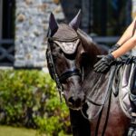 Smokey Quartz Bonnet