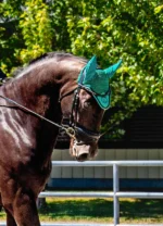 Emerald Green Bonnet