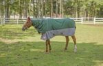 Winter Coat Detachable Neck Blanket: Hunter/Grey, 78