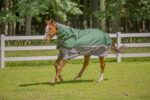 Winter Coat Detachable Neck Blanket: Hunter/Grey, 78 - Image 3