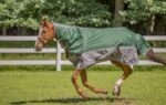 Winter Coat Detachable Neck Blanket: Hunter/Grey, 78 - Image 4