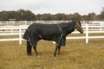 TuffRider All Season Blanket: Black, 75 - Image 4
