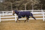 TuffRider All Season Blanket: Navy, 81