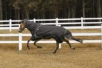 TuffRider All Season Blanket: Navy, 81 - Image 3