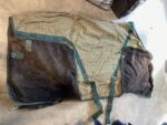 Winter coat With Wool Bottom Green/Orange 74"