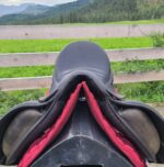 Used Custom Advantage 17.5" Dressage Saddle - Image 3