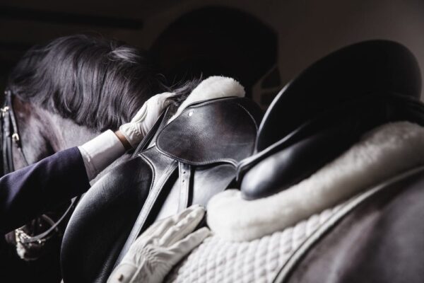 SaddleFit Canada’s Saddle Fitting Checklist – Trade Tack