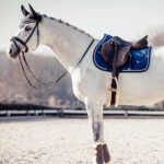 Used Back On Track Nights Collection Saddle Pad & Ear Bonnet Set - Image 2