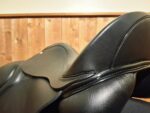 New 17" Loxley by Bliss Dressage Demo Saddle - Image 3