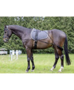 Used HKM Lunging System with Surcingle - Image 2
