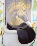 17.5” Equipe Evolution - Image 2