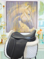 16.5” Kent and Masters Dressage Saddle