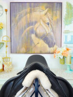 16.5” Kent and Masters Dressage Saddle - Image 5
