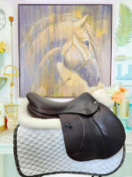 17” Voltaire Palm Beach - Image 2