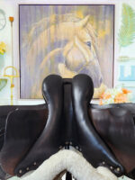 17.5” Frank Baines W Evolution Jump Saddle - Image 9