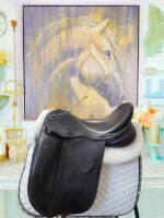 17.5” NSC Anika Dressage Saddle