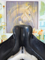 17” Mondega Valencia Dressage Saddle - Image 9