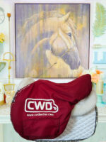 17.5” CWD Se02 2C Jump Saddle - Image 10