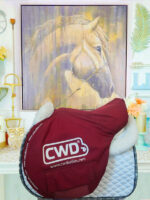 17” CWD SE01 3C - Image 10