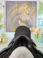 17” Brown Passier Grand Gilbert Dressage Saddle - Image 5