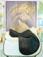 17.5” Equipe Grand Prix - Image 2
