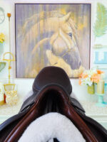 16.5” Regal Jump Saddle - Image 5