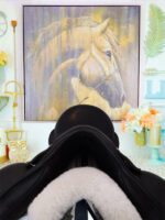 17.5” NSC Rhomeo Dressage Saddle - Image 5