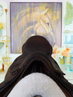 17” County Innovation Jump Saddle - Image 5