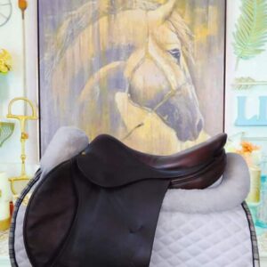 17” Bruno Delgrange Partition Jump Saddle