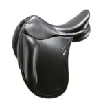 Oracle saddle