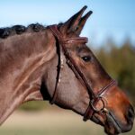 Lavelle Hunter/Jumper