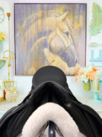 17.5” Schleese Dressage Saddle - Image 5