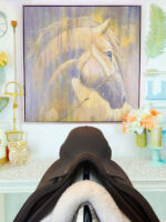 17” Equipe Extreme Jump Saddle - Image 5