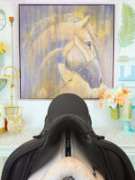 17.5” Schleese Wave Dressage Saddle - Image 5