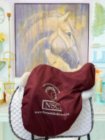 17.5” NSC Rhomeo Monoflap Dressage Saddle - Image 9