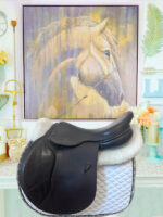 Gorgeous 17.5” Ideal French Debut Jump Saddle