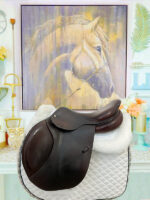 17” CWD Se02 3C