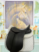 17.5” Schleese Infinity II Dressage Saddle package