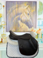 17.5” Ideal Deal Jump Saddle - Image 2
