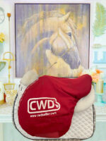 17” CWD SE32 2L 2Gs Mademoiselle - Image 10