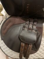 17” Bates Elevation Luxe Jump Saddle - Image 7