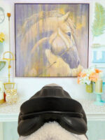 16.5” Passier Grand Gilbert Dressage Saddle - Image 6