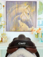 CWD SE25 S3 4C - Image 6