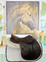 16.5” Antares Contact Jump Saddle - Image 2