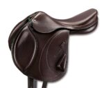 Expression saddle